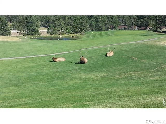 1250 S Saint Vrain Avenue #14 Estes Park, CO 80517