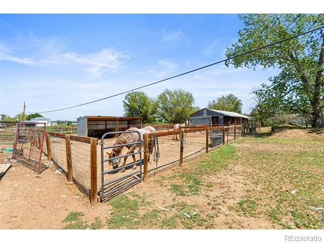 2012 Charro Avenue Longmont, CO 80504