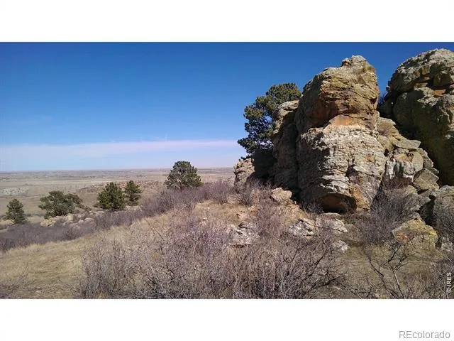 4318 Green Mile Drive Laporte, CO 80535