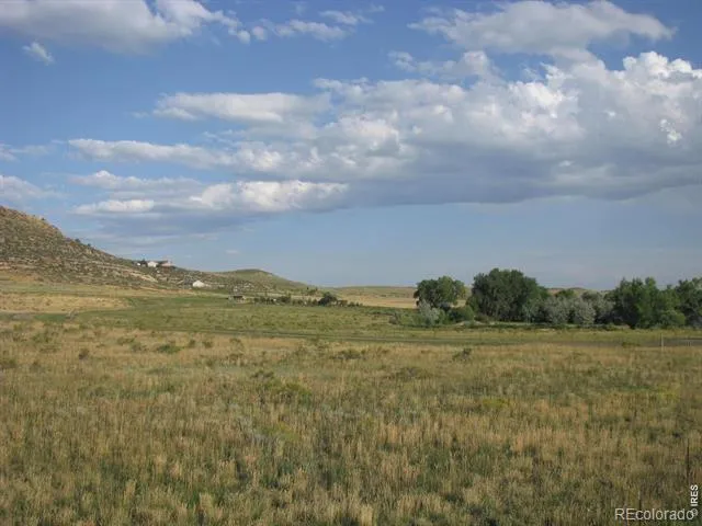 4318 Green Mile Drive Laporte, CO 80535