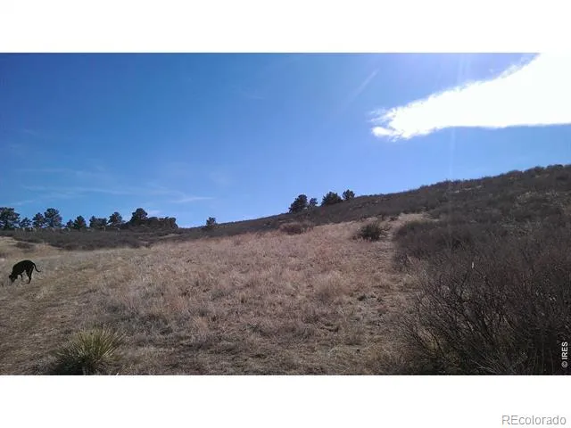 4318 Green Mile Drive Laporte, CO 80535