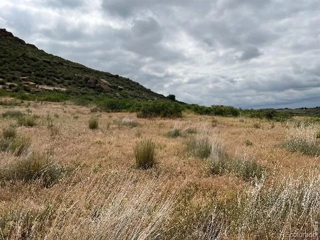4318 Green Mile Drive Laporte, CO 80535