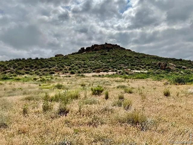 4318 Green Mile Drive Laporte, CO 80535