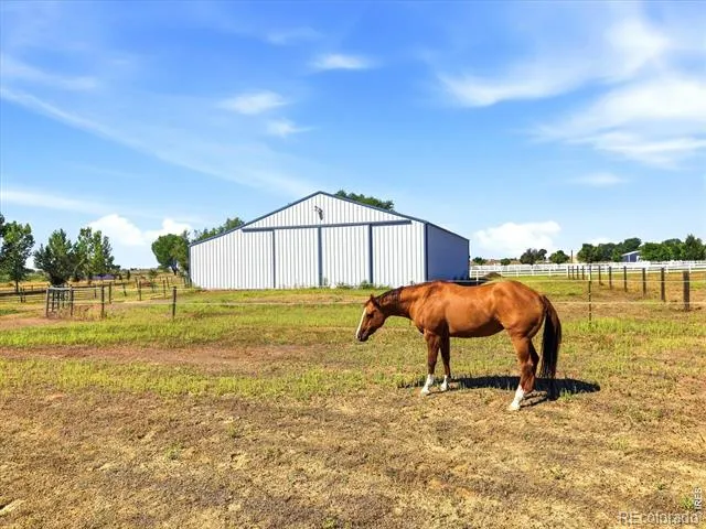 7212 County Road 4 Brighton, CO 80603