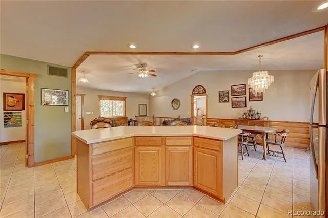 491 Aspen Lane Black Hawk, CO 80422