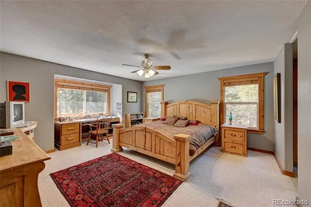 491 Aspen Lane Black Hawk, CO 80422