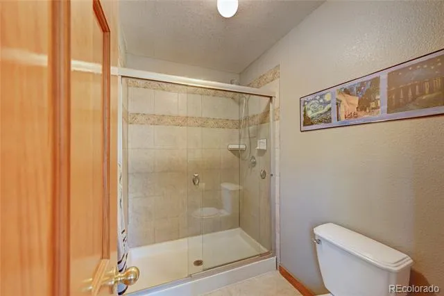 491 Aspen Lane Black Hawk, CO 80422