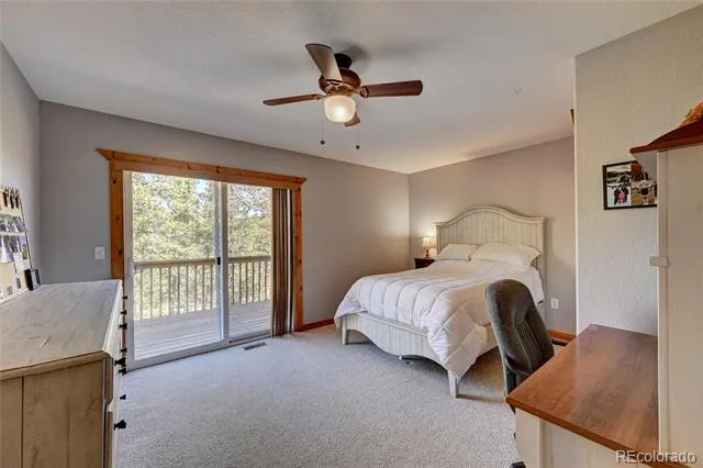 491 Aspen Lane Black Hawk, CO 80422
