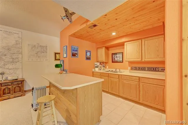 491 Aspen Lane Black Hawk, CO 80422