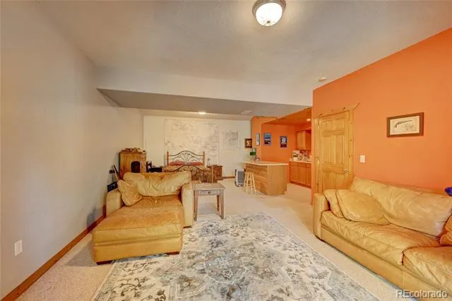 491 Aspen Lane Black Hawk, CO 80422