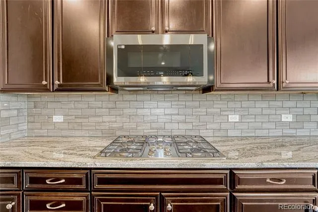 14110 Sierra Ridge Circle Parker, CO 80134