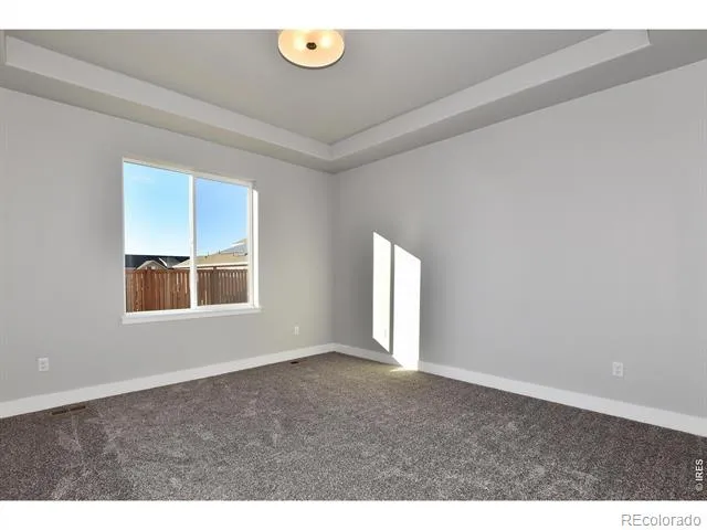 1196 Crown Sparrow Street Johnstown, CO 80534