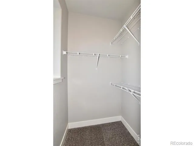 1196 Crown Sparrow Street Johnstown, CO 80534