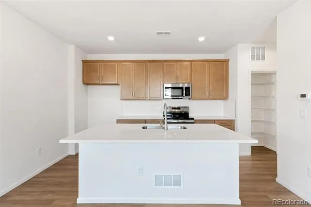 589 Bently Street Watkins, CO 80137