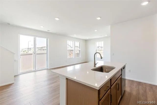 589 Bently Street Watkins, CO 80137