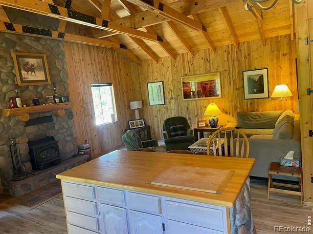 25 Aspen Drive Walden, CO 80480