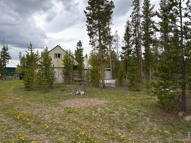 25 Aspen Drive Walden, CO 80480
