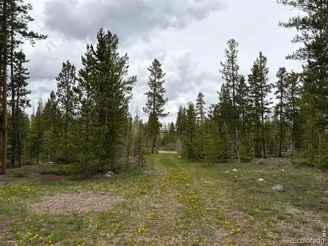 25 Aspen Drive Walden, CO 80480