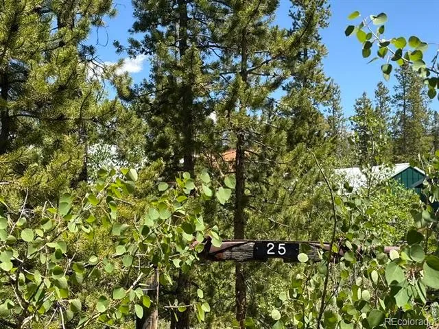 25 Aspen Drive Walden, CO 80480