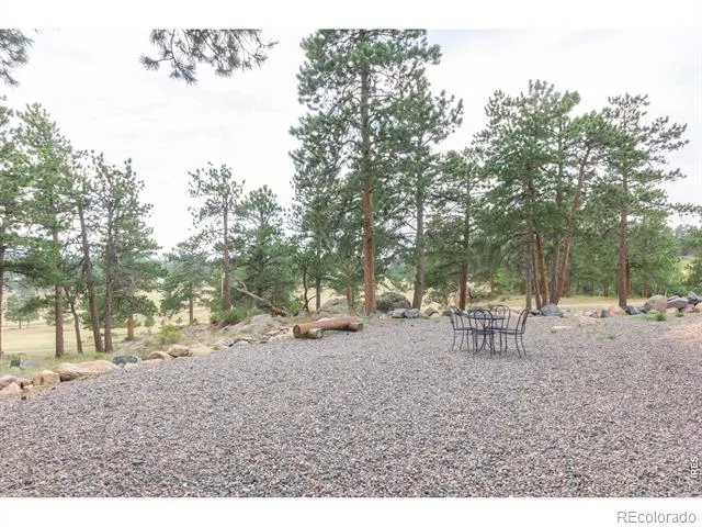 1001 Bald Mountain Drive Livermore, CO 80536