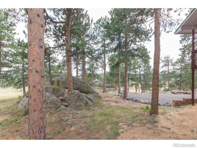 1001 Bald Mountain Drive Livermore, CO 80536