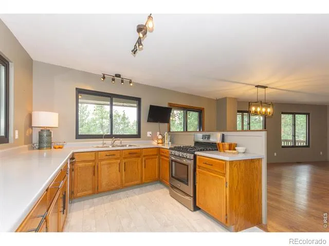 1001 Bald Mountain Drive Livermore, CO 80536
