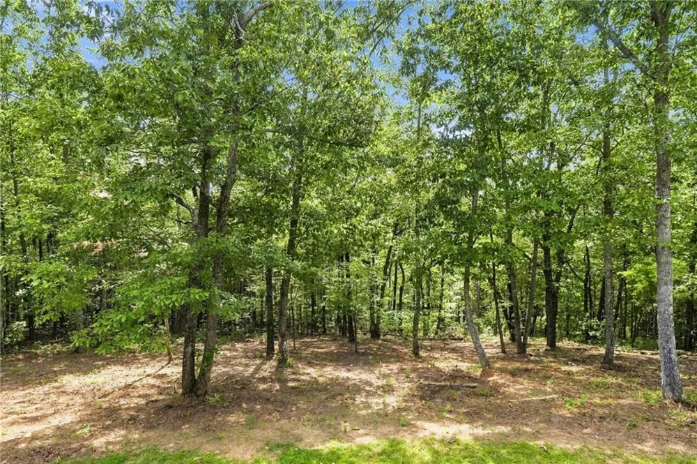 145 Ridgeline Road Talking Rock, GA 30175