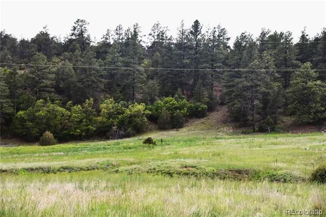 Spanish Highlands Filing 4 Lot 210, 211, & 212 Boncarbo, CO 81024