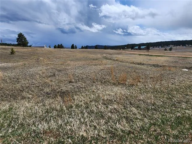 714 Empire Road Florissant, CO 80816