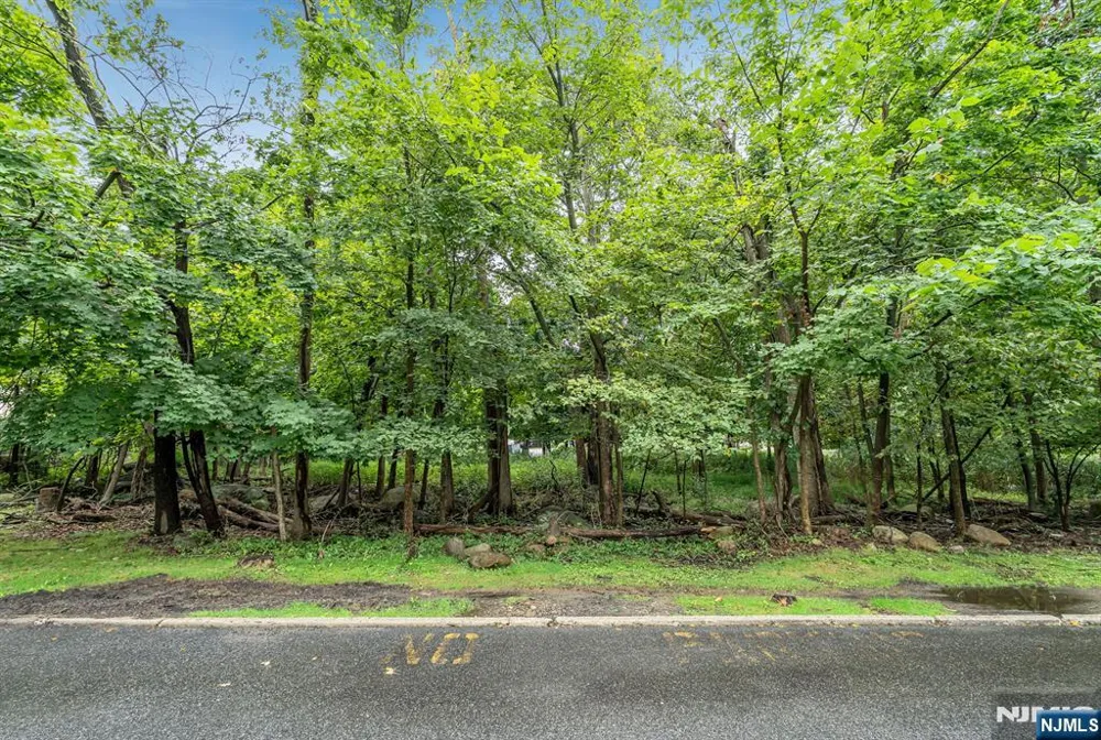 13 Briarwood Court E Ramsey, NJ 07446
