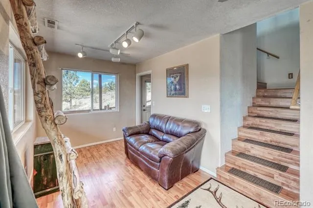229 Ladigo Lane Hartsel, CO 80449