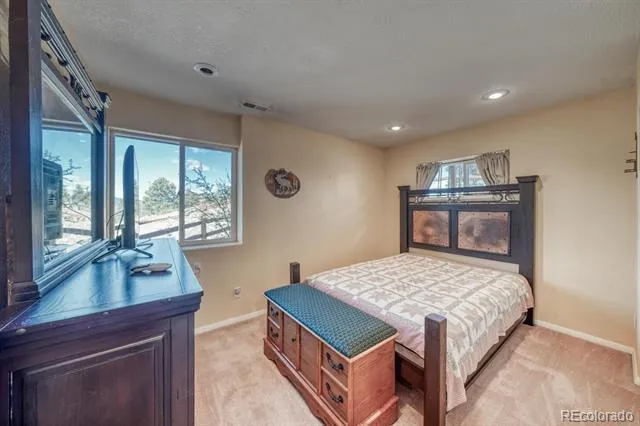 229 Ladigo Lane Hartsel, CO 80449