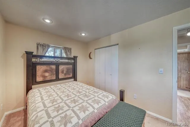229 Ladigo Lane Hartsel, CO 80449