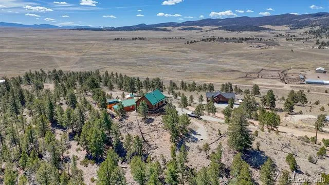 229 Ladigo Lane Hartsel, CO 80449
