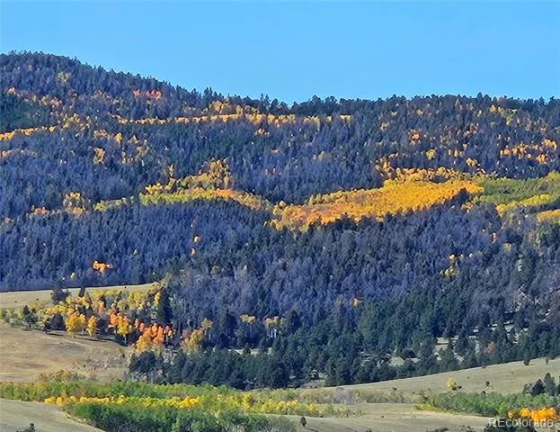 229 Ladigo Lane Hartsel, CO 80449