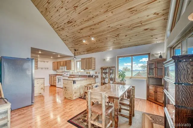 229 Ladigo Lane Hartsel, CO 80449