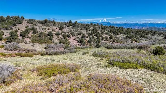 2269 Running Bear Cotopaxi, CO 81223