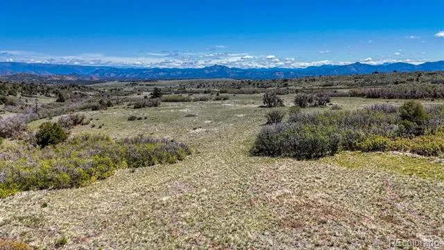 2269 Running Bear Cotopaxi, CO 81223