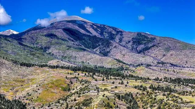 2269 Running Bear Cotopaxi, CO 81223