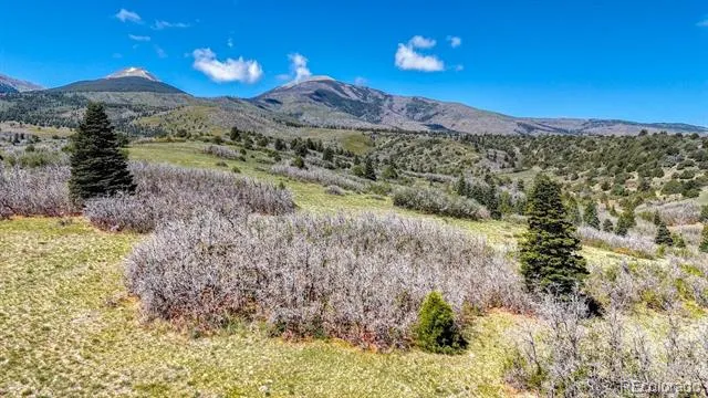 2269 Running Bear Cotopaxi, CO 81223