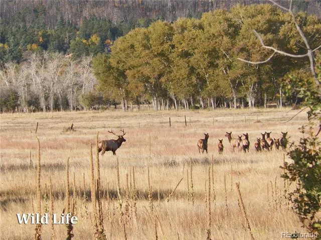 2269 Running Bear Cotopaxi, CO 81223
