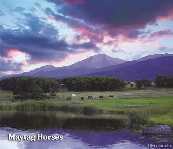 2269 Running Bear Cotopaxi, CO 81223