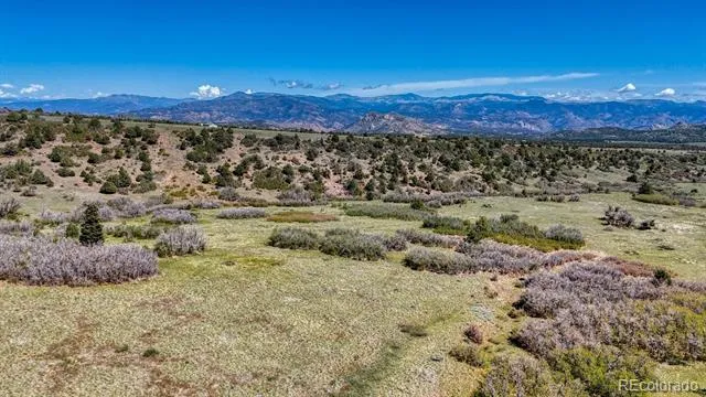 2269 Running Bear Cotopaxi, CO 81223