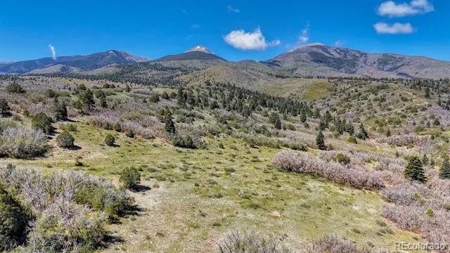 2269 Running Bear Cotopaxi, CO 81223