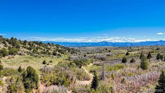 2269 Running Bear Cotopaxi, CO 81223