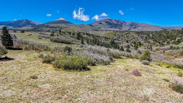 2269 Running Bear Cotopaxi, CO 81223