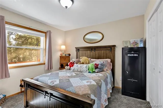 50 Shawnee Trail Westcliffe, CO 81252