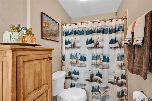 50 Shawnee Trail Westcliffe, CO 81252