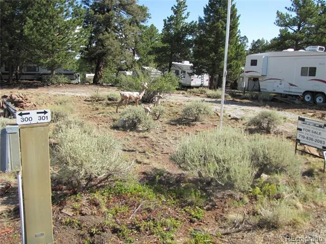 224 Lantern Loop Hartsel, CO 80449