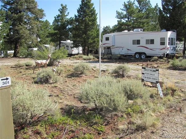 224 Lantern Loop Hartsel, CO 80449